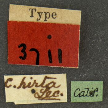 Media type: image;   Entomology 3711 Aspect: labels